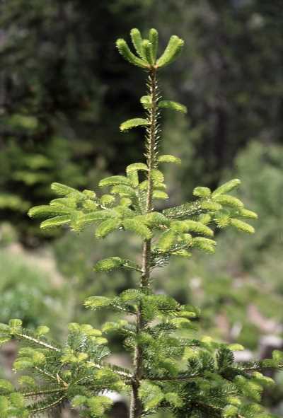 Edremit Turizm Danışma